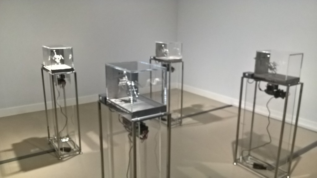 Skinner, operant conditioning, the machine zone