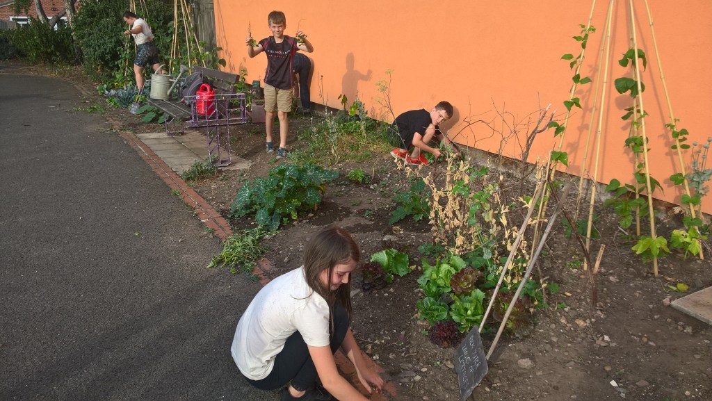 Incredible Edible Loughborough