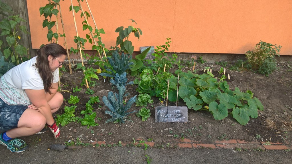 Incredible Edible Roots for Big Green&nbsp;Week