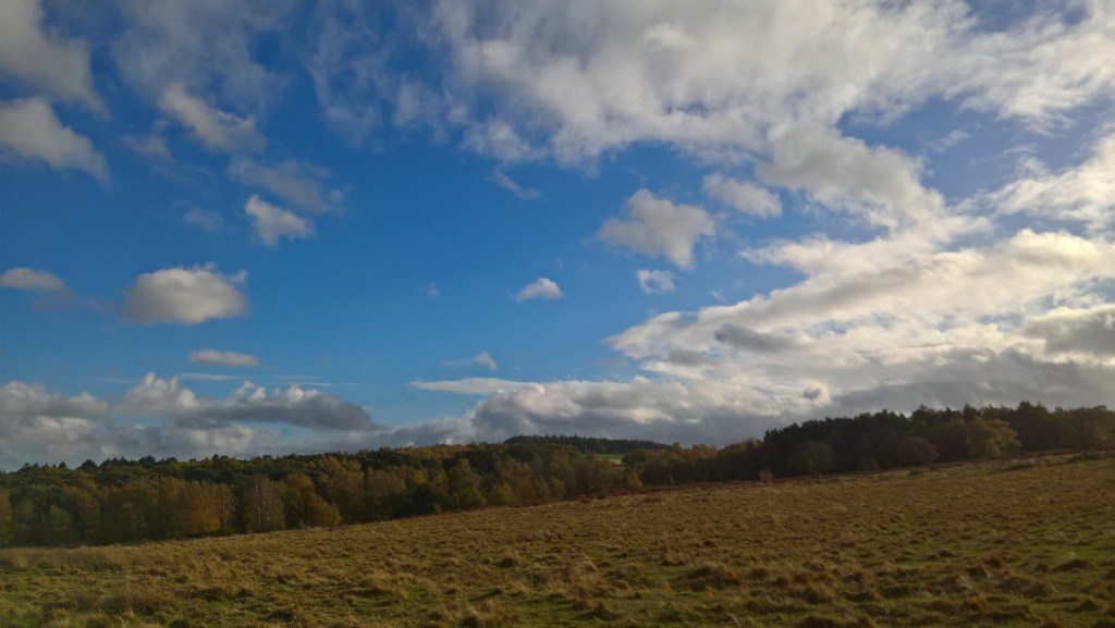 GEOLOGICAL SITES ON YOUR STOOP