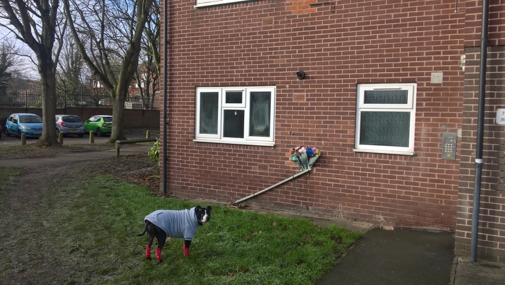 “It’s Not As Bad as People&nbsp;Think”.