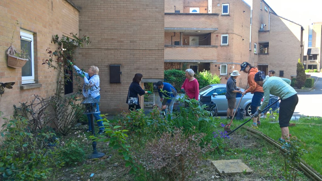 GROWING GROUP ROOTS FOR COMMUNITY&nbsp;COHESION